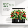 1. Indoor Hydroponic Growing System 10 Pods, 3.6L Water Tank Herb Garden Kit with Pump Circulation, Timing Function for Vegetables & Flowers