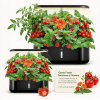 1. Indoor Hydroponic Growing System 10 Pods, 3.6L Water Tank Herb Garden Kit with Pump Circulation, Timing Function for Vegetables & Flowers